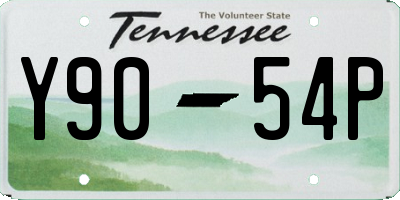 TN license plate Y9054P