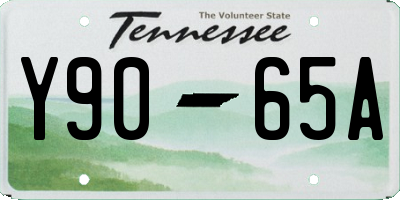 TN license plate Y9065A