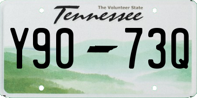 TN license plate Y9073Q