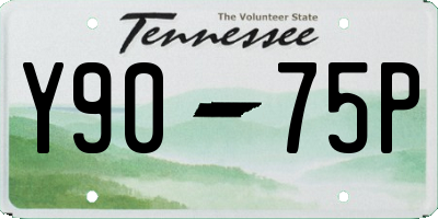 TN license plate Y9075P