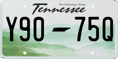 TN license plate Y9075Q
