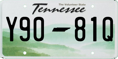 TN license plate Y9081Q