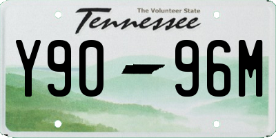 TN license plate Y9096M