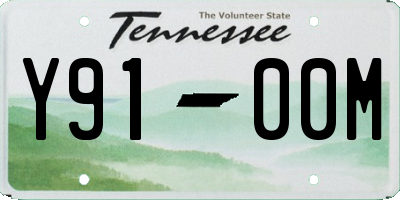 TN license plate Y9100M