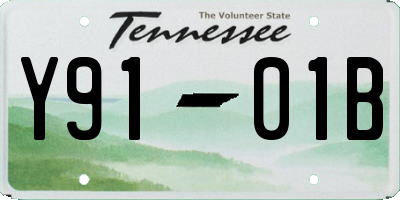 TN license plate Y9101B