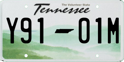 TN license plate Y9101M