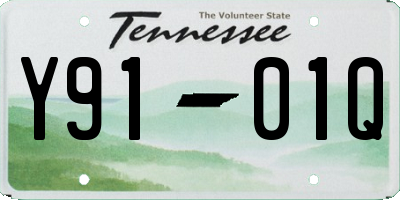 TN license plate Y9101Q