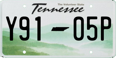 TN license plate Y9105P