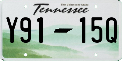 TN license plate Y9115Q