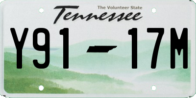 TN license plate Y9117M