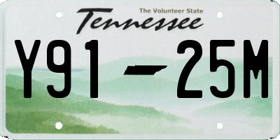 TN license plate Y9125M