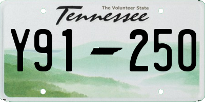 TN license plate Y9125O