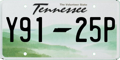 TN license plate Y9125P