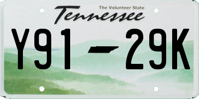 TN license plate Y9129K