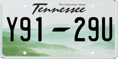 TN license plate Y9129U
