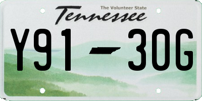 TN license plate Y9130G