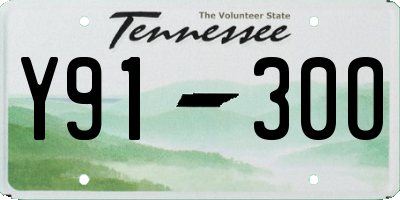 TN license plate Y9130O