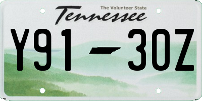 TN license plate Y9130Z