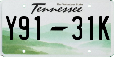 TN license plate Y9131K