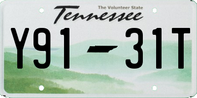 TN license plate Y9131T