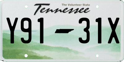 TN license plate Y9131X