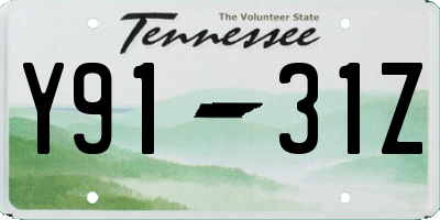 TN license plate Y9131Z