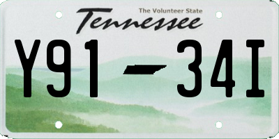 TN license plate Y9134I