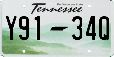 TN license plate Y9134Q