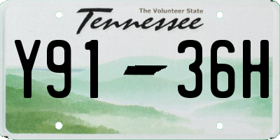 TN license plate Y9136H