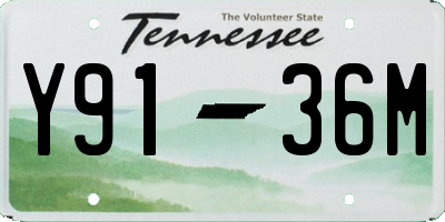 TN license plate Y9136M