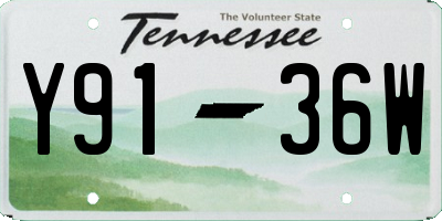 TN license plate Y9136W