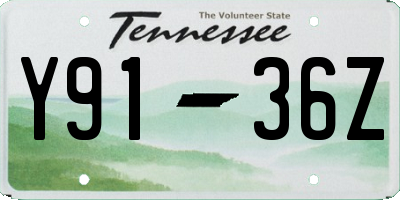 TN license plate Y9136Z