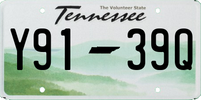 TN license plate Y9139Q