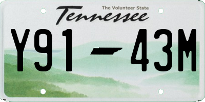 TN license plate Y9143M