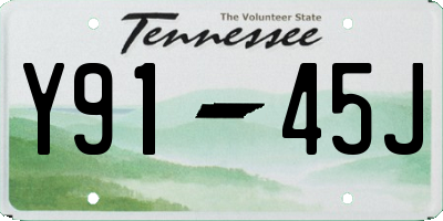 TN license plate Y9145J
