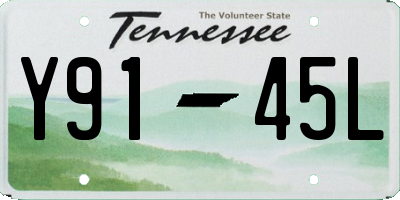TN license plate Y9145L