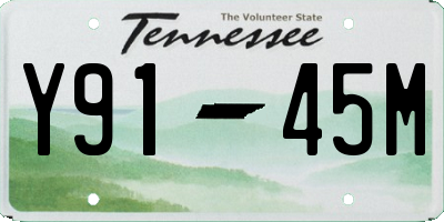TN license plate Y9145M