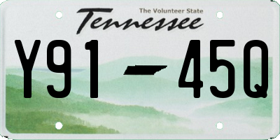 TN license plate Y9145Q