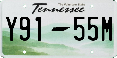 TN license plate Y9155M