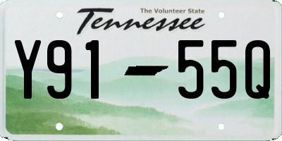 TN license plate Y9155Q