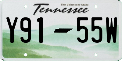 TN license plate Y9155W