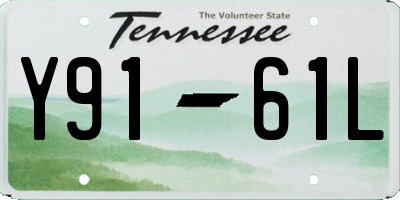 TN license plate Y9161L
