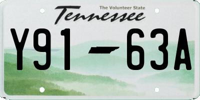 TN license plate Y9163A