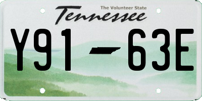 TN license plate Y9163E
