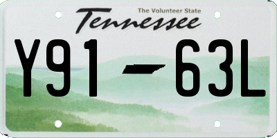TN license plate Y9163L