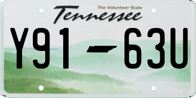 TN license plate Y9163U
