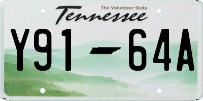 TN license plate Y9164A