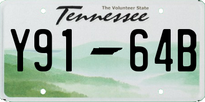 TN license plate Y9164B