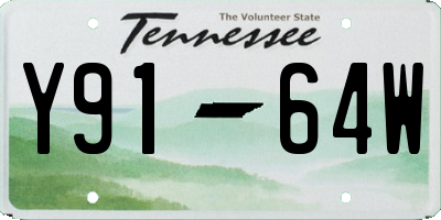 TN license plate Y9164W