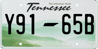 TN license plate Y9165B